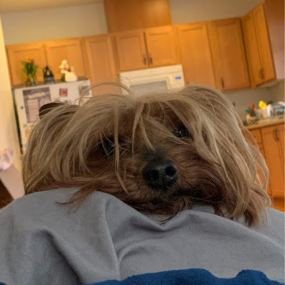 Meet your Posher, Vin - Picture 1 of 1